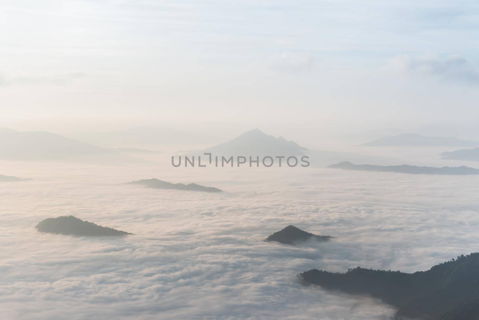 fog and cloud mountain valley landscape