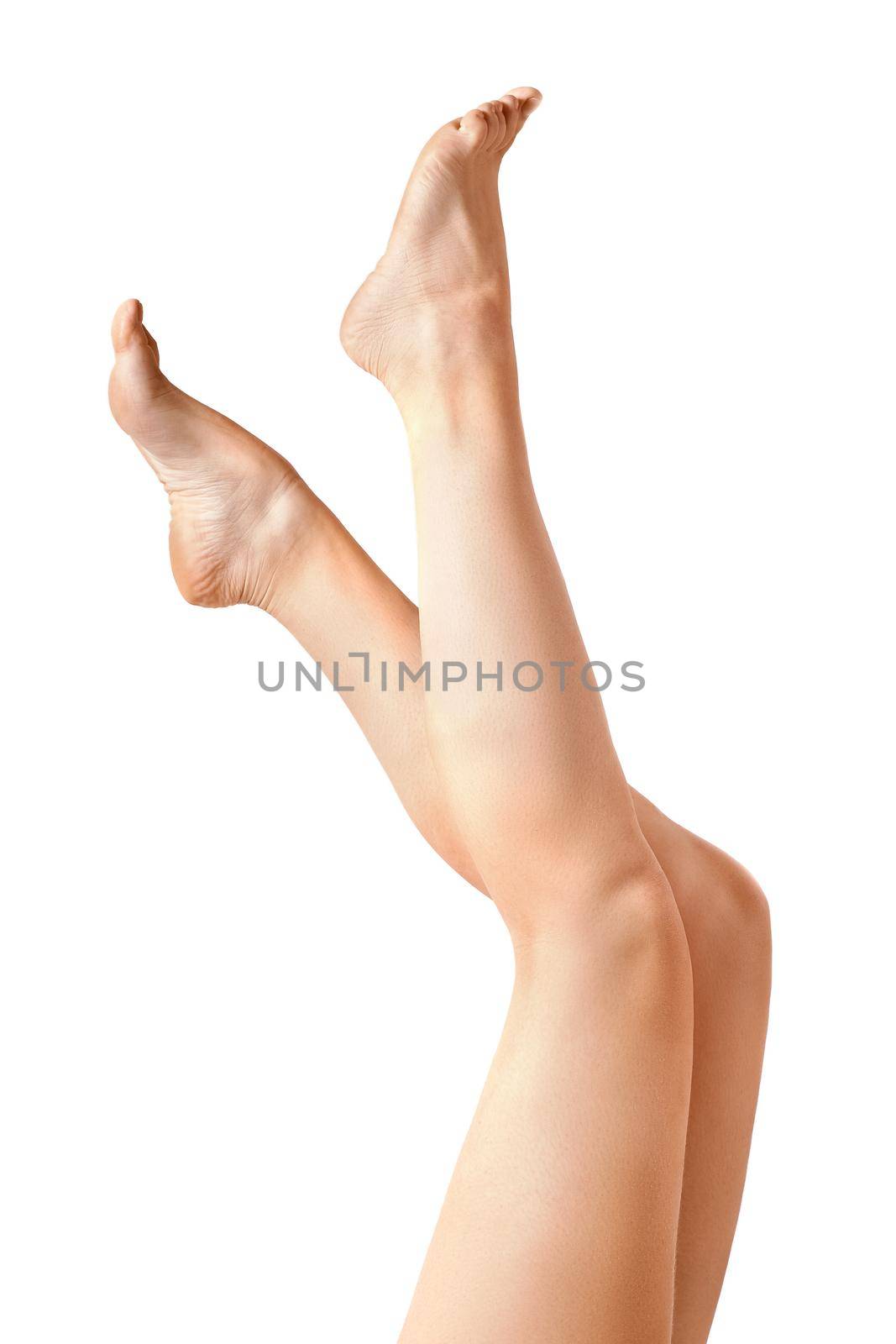 Beautiful slender female legs isolated on white background