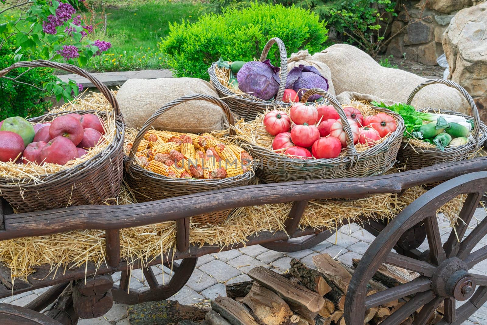 an old village cart with pumpkins on a beautiful background. photo