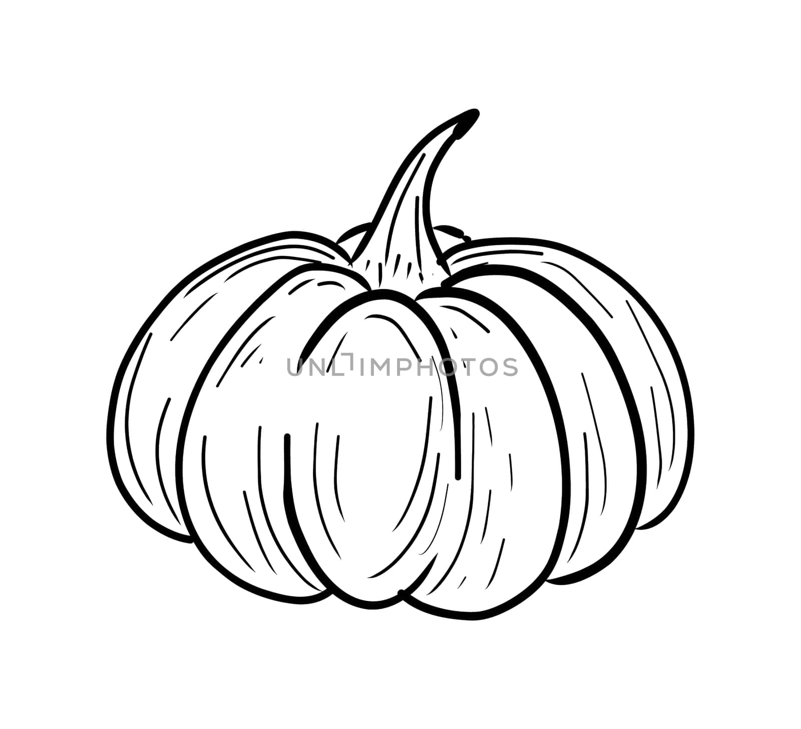 draw pumpkin ball line art for halloween by sarayut_thaneerat