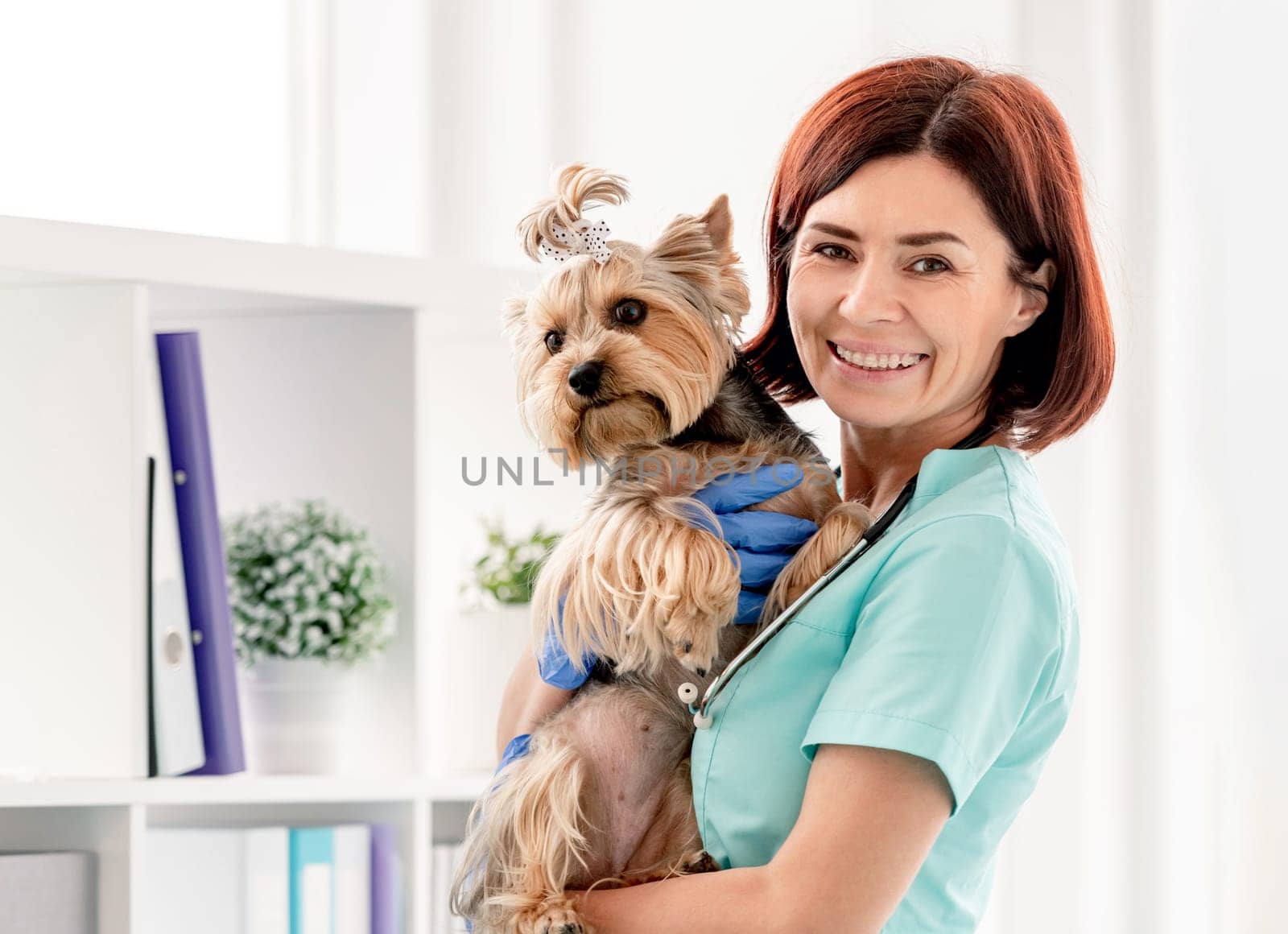 Yorkshire terrier on hands of smiling veterinarian woman during appointment in veterinary clinic