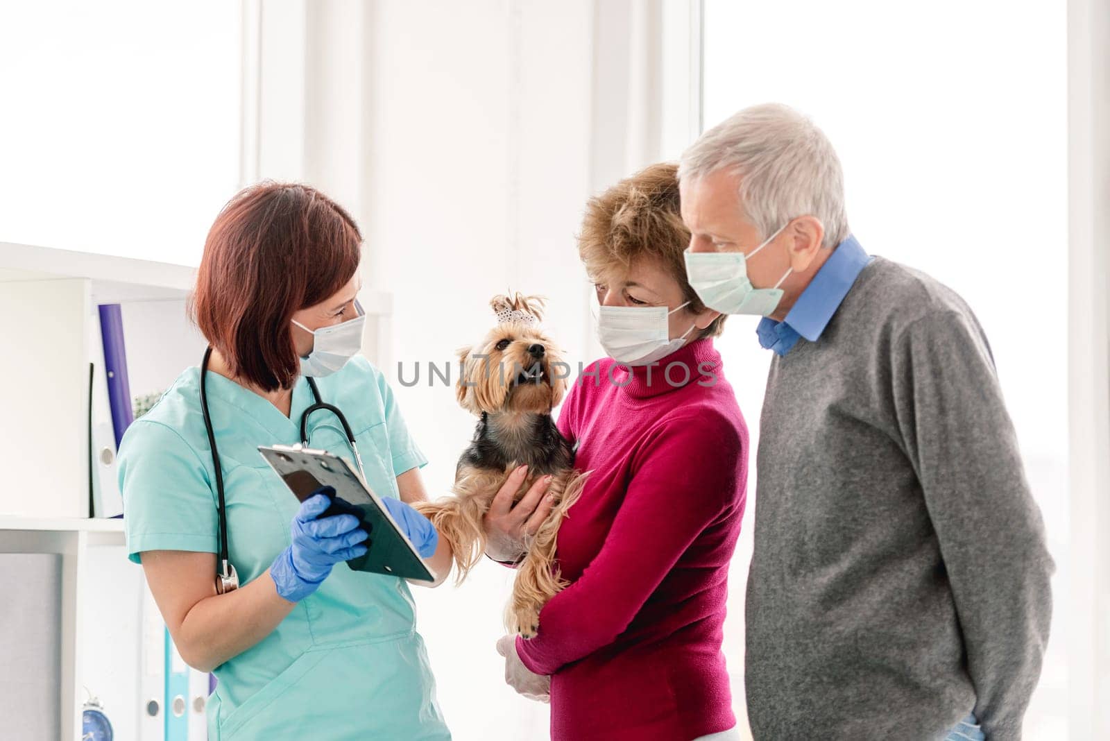 Yorkshire terrier during appointment in veterinary clinic by GekaSkr