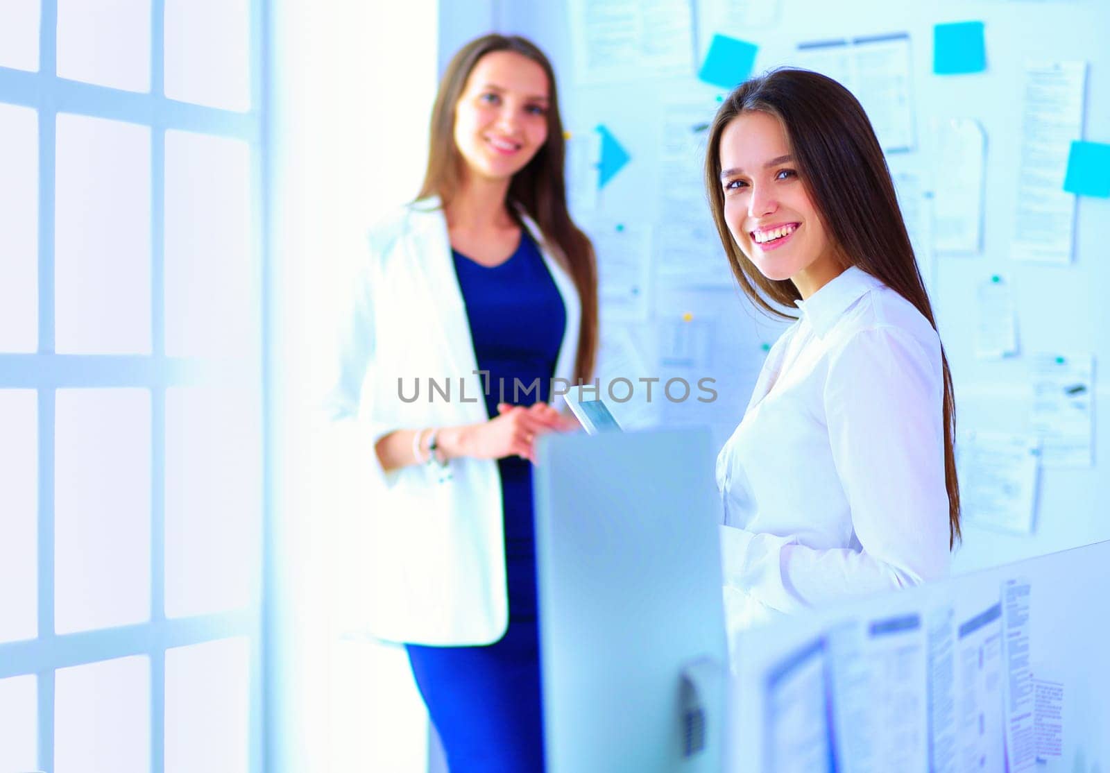 Attractive business woman working on laptop at office. Business people by lenets