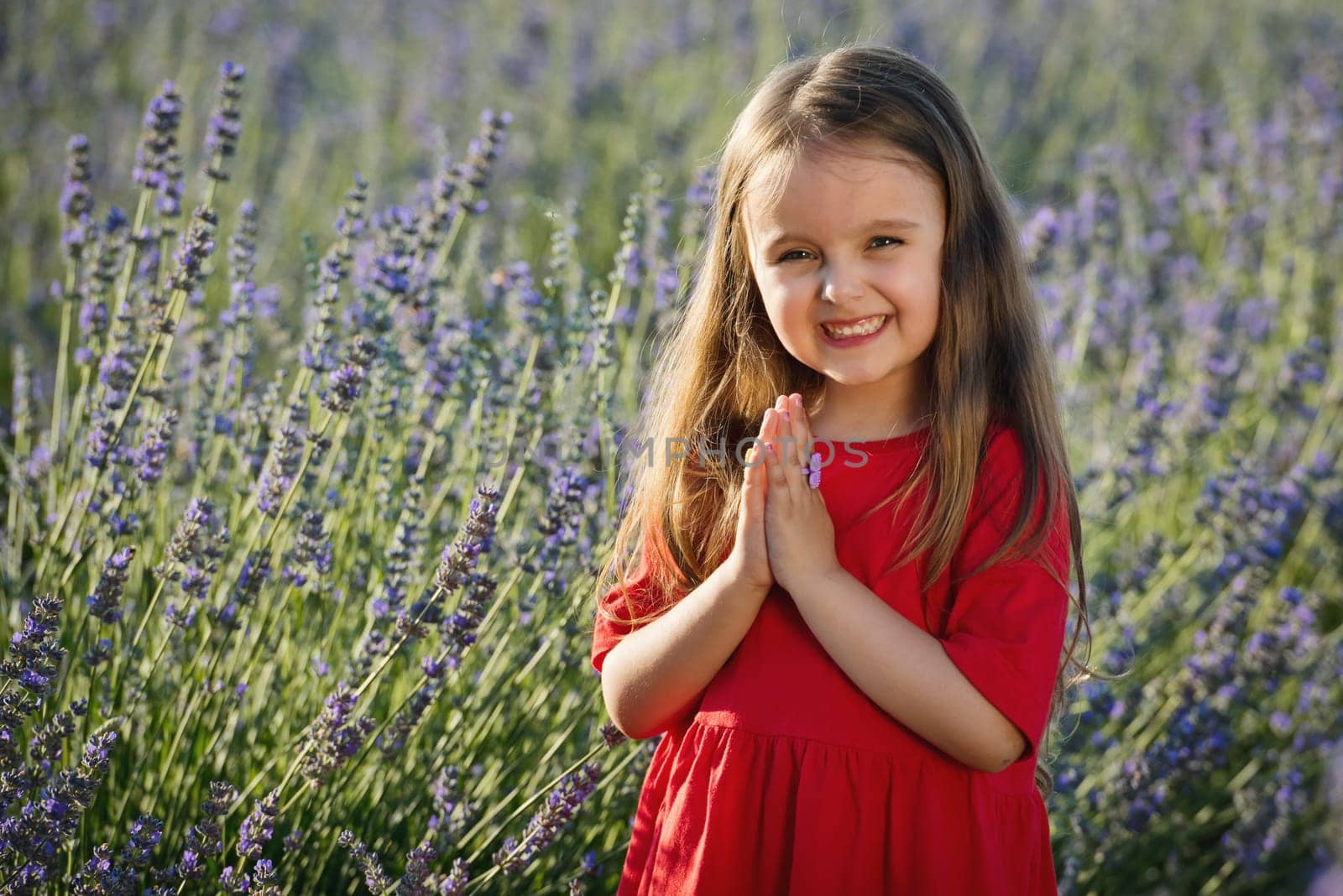 Portrait of cute little girl in the lavender flowers in meadow. by leonik