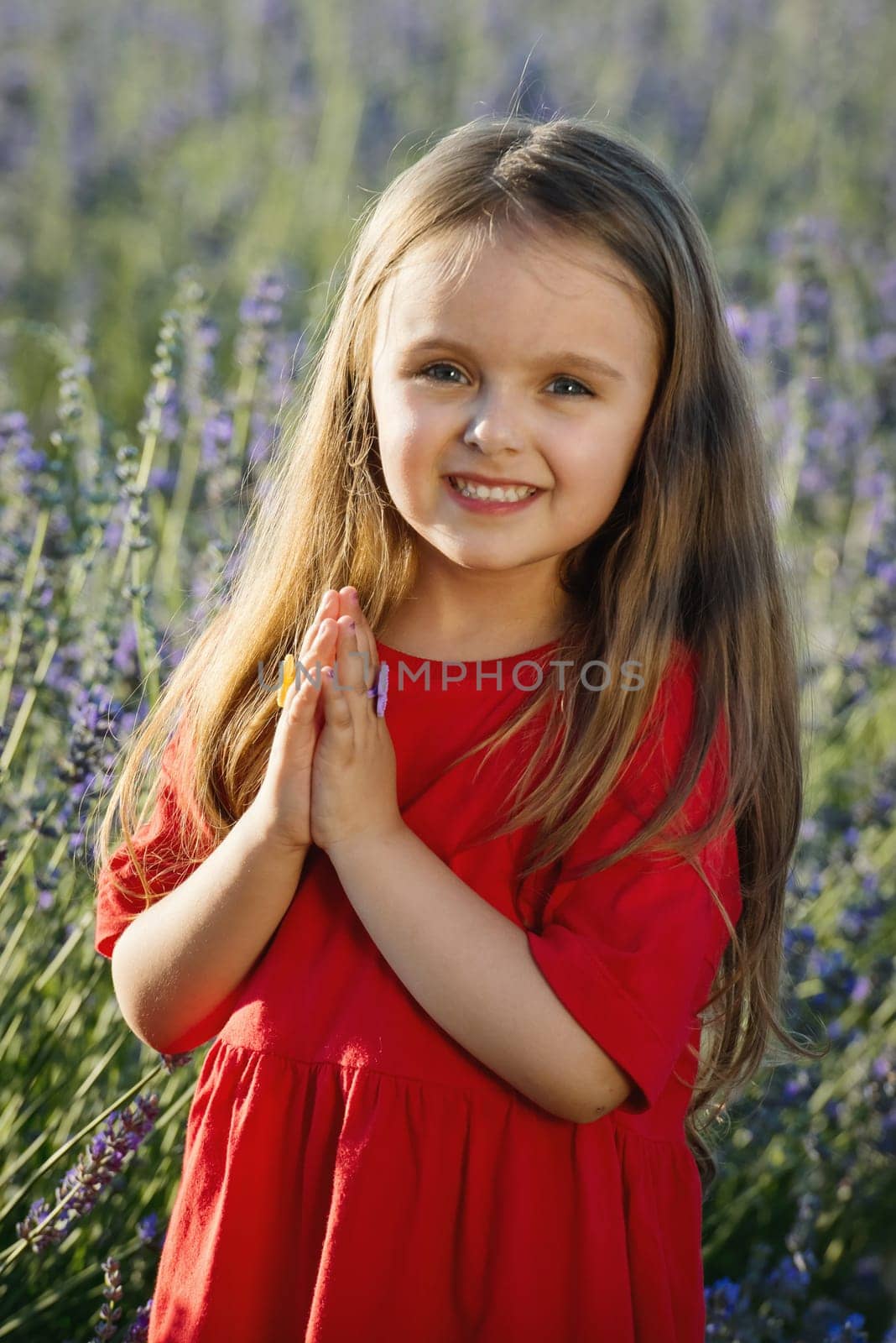 Portrait of cute little girl in the lavender flowers in meadow. by leonik