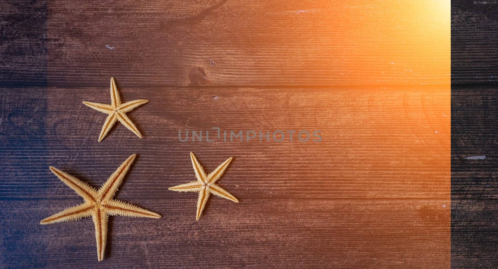 Sea stars. Summer nautical background - stars on wooden background.