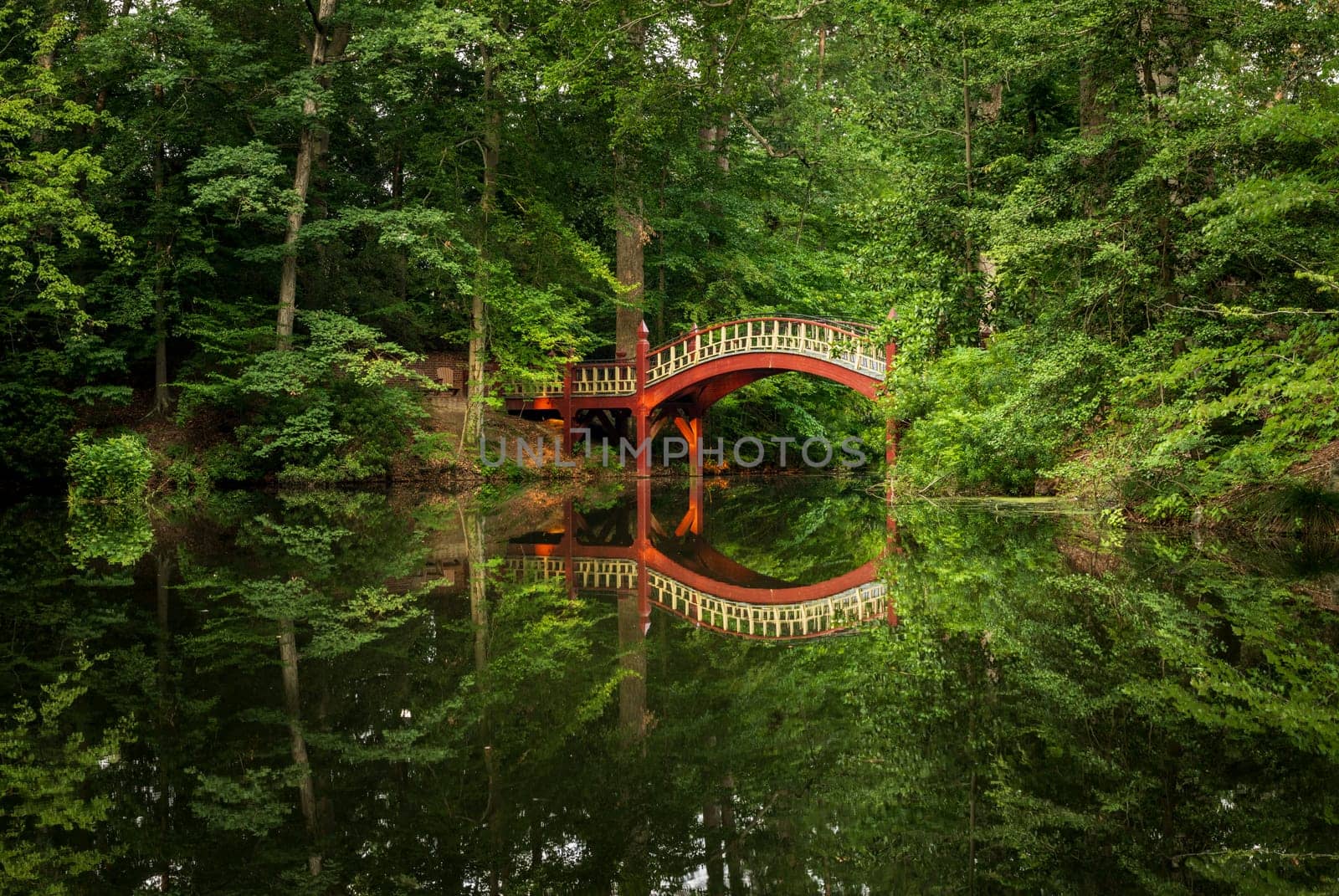 Ornate wooden bridge over very calm Crim Dell pond on campus of William and Mary college in Williamsburg Virginia