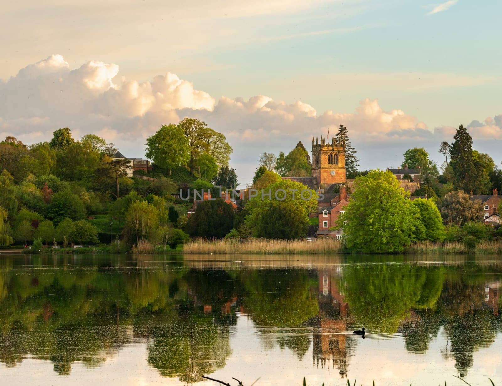 View across the Mere to the town of Ellesmere in Shropshire by steheap