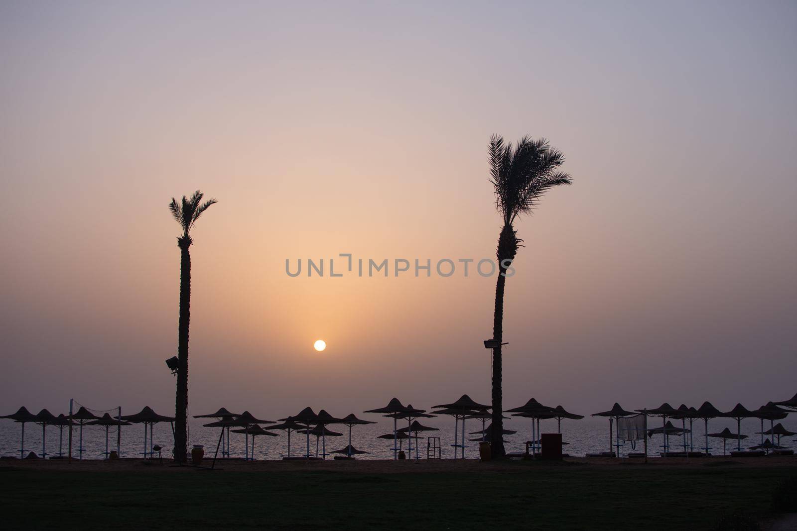 beach, umbrellas and palm trees at sunset or sunrise. against the background of the red sea and the sky in Egypt. nobody