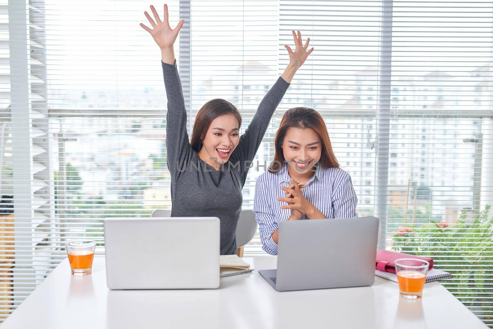 Indoor portrait of smiling girls working together in office. Pretty woman spending time with friend during break and posing for photo in library. by makidotvn