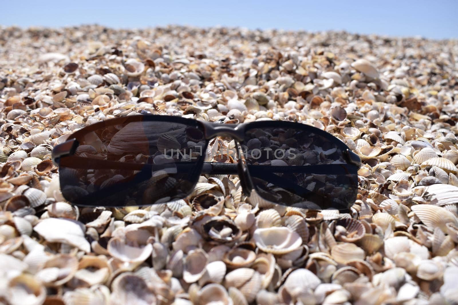 The sunglasses lying on the seashore against the sea. Close up view sunglasses on a sand beach with shells as an elements. Summer vacation concept, accessories for summer beach travel at holidays.