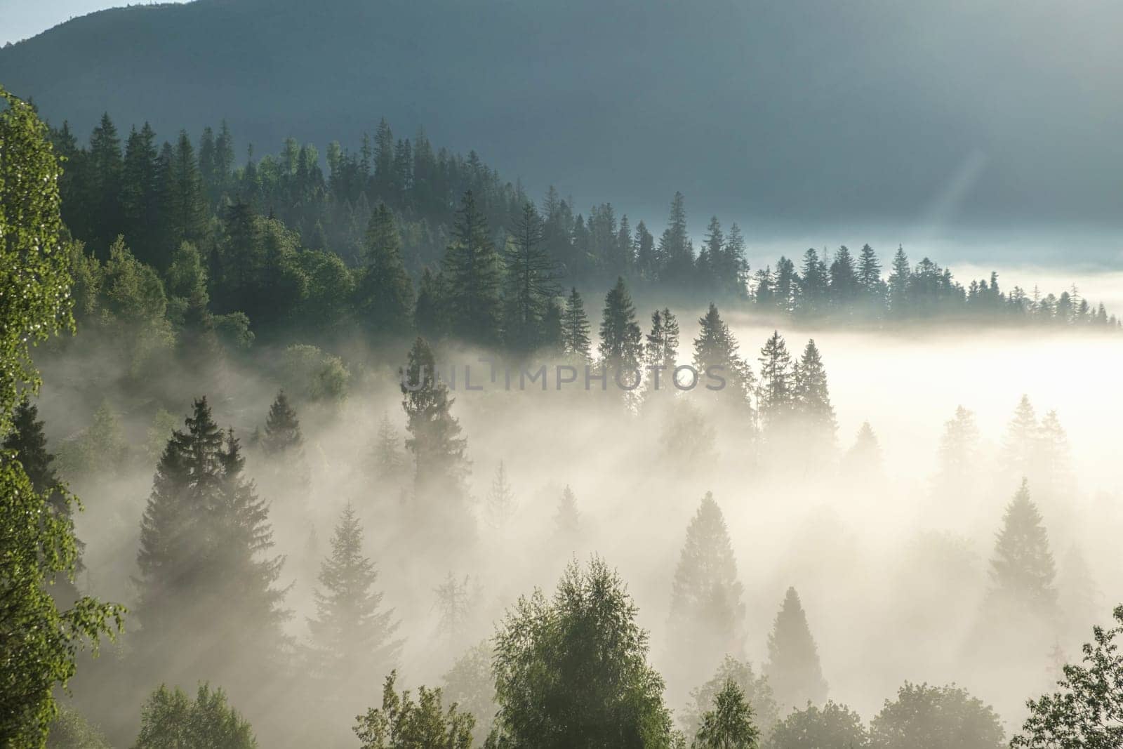 misty morning in the mountains, view from drone over the morning over the mountains hills and farmland, Ukraine. Foggy and cloud inversion over the mountains. download photo