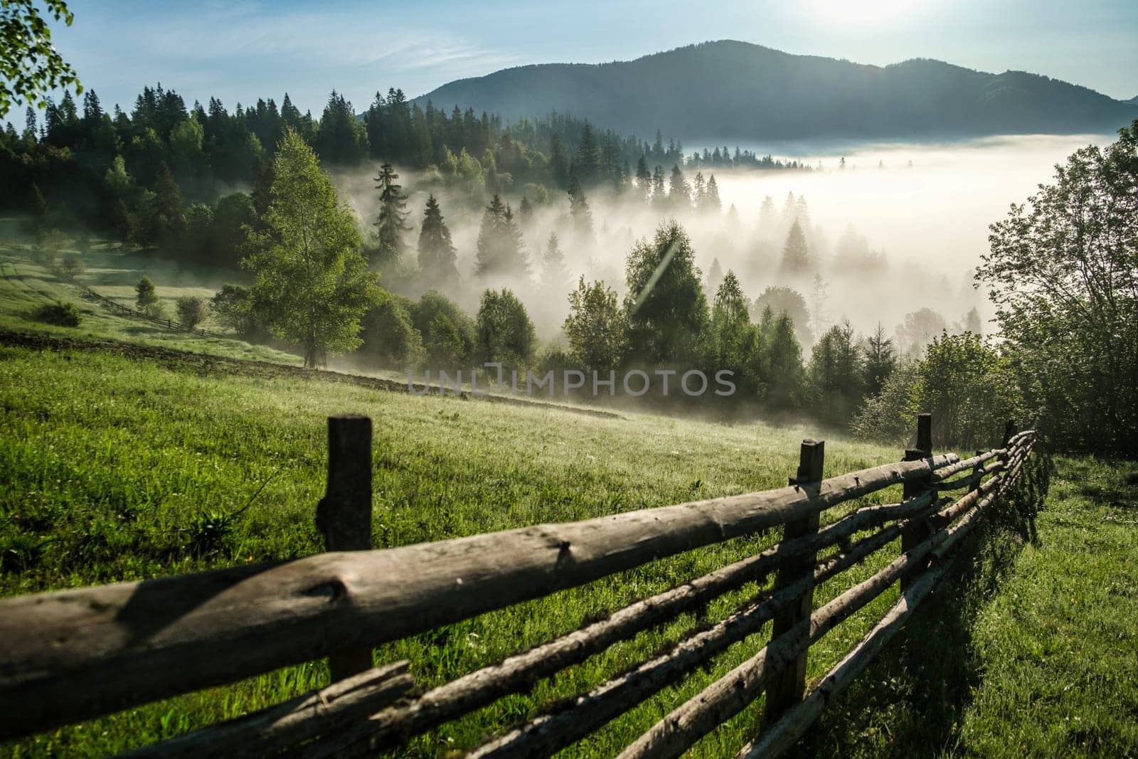 Carpathian mountain meadow covered with fresh spring grass, fence in the mountains by igor010