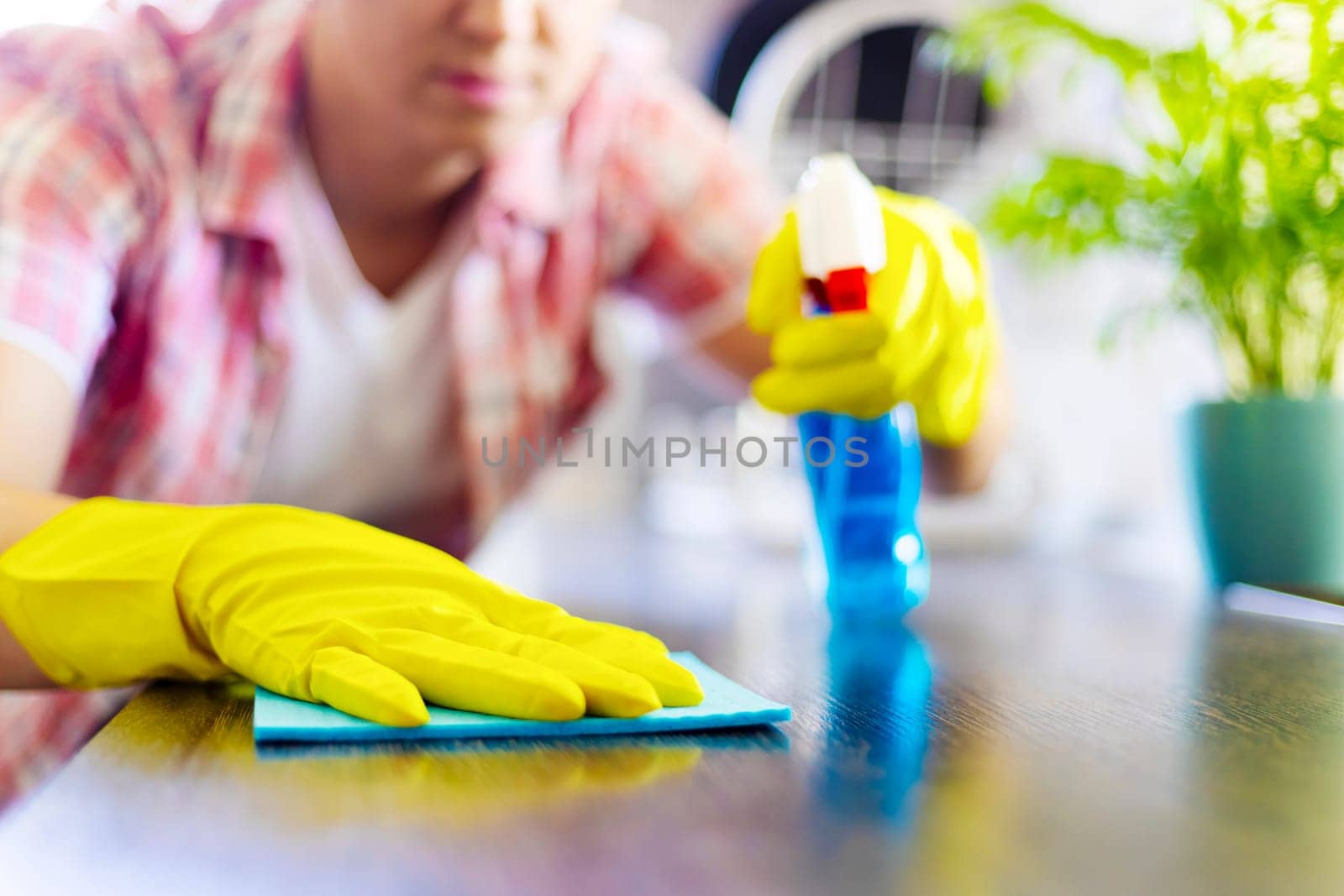 Housewife in yellow gloves wipes dust using spray detergent and rag. The woman is doing household chores. Cleaning concept