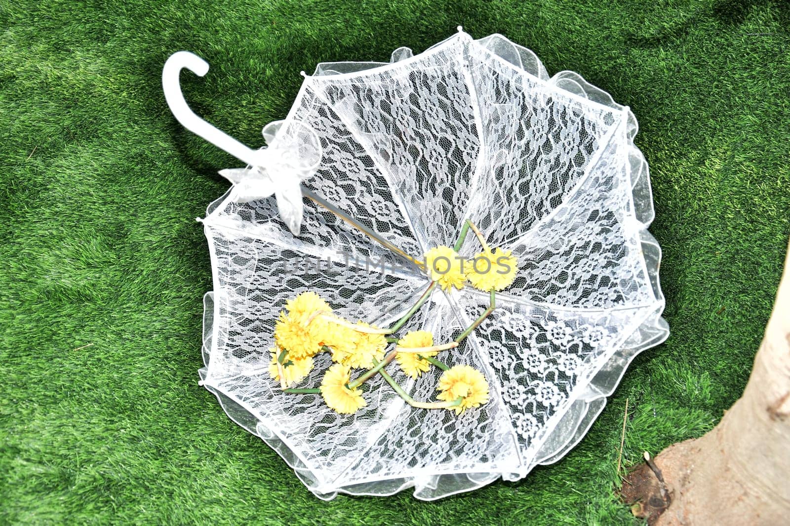White lace wedding umbrella with yellow flowers thrown on green grass. High quality photo