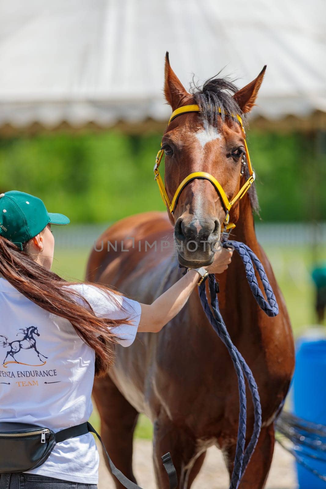 Rider with a horse in competition. Moscow Russia July 1, 2023. High quality photo