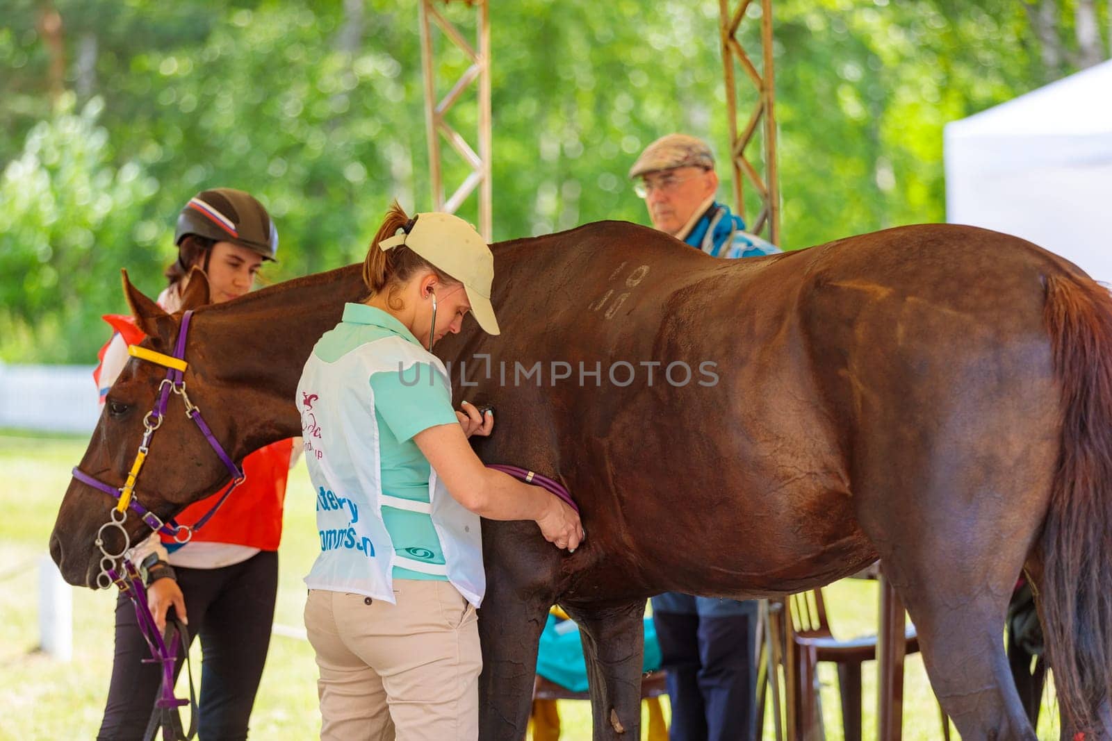 Girl doctor examines the horse at the competition. Moscow Russia July 1, 2023 by Yurich32