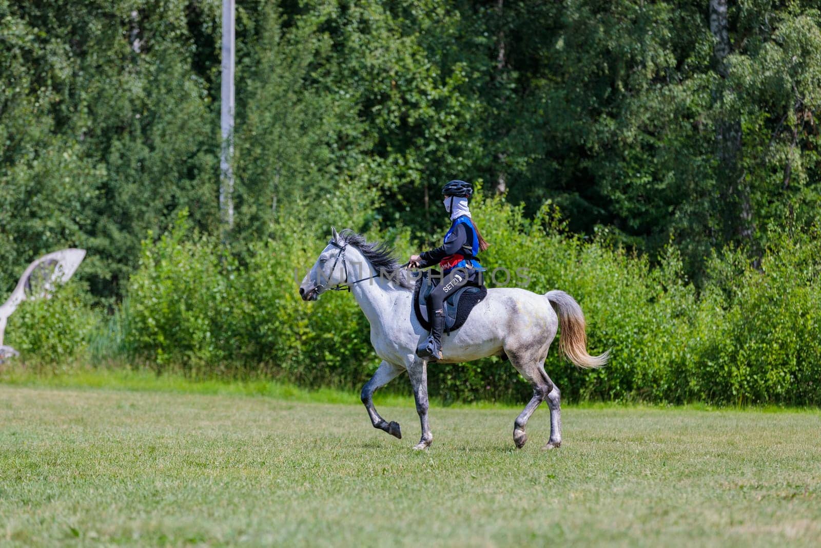 A rider rides a horse in a competition. Moscow Russia July 1, 2023 by Yurich32