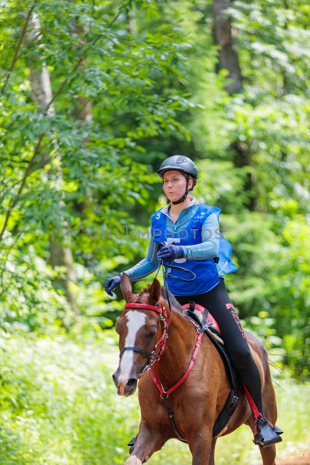 A rider rides a horse in a competition. Moscow Russia July 1, 2023. High quality photo