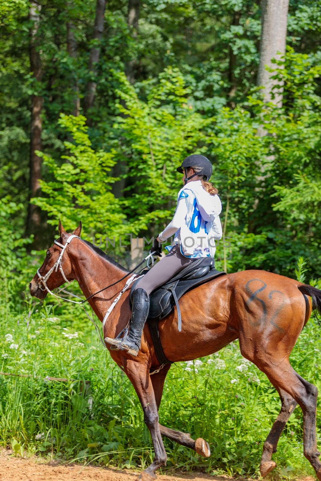 A rider rides a horse in a competition. Moscow Russia July 1, 2023 by Yurich32