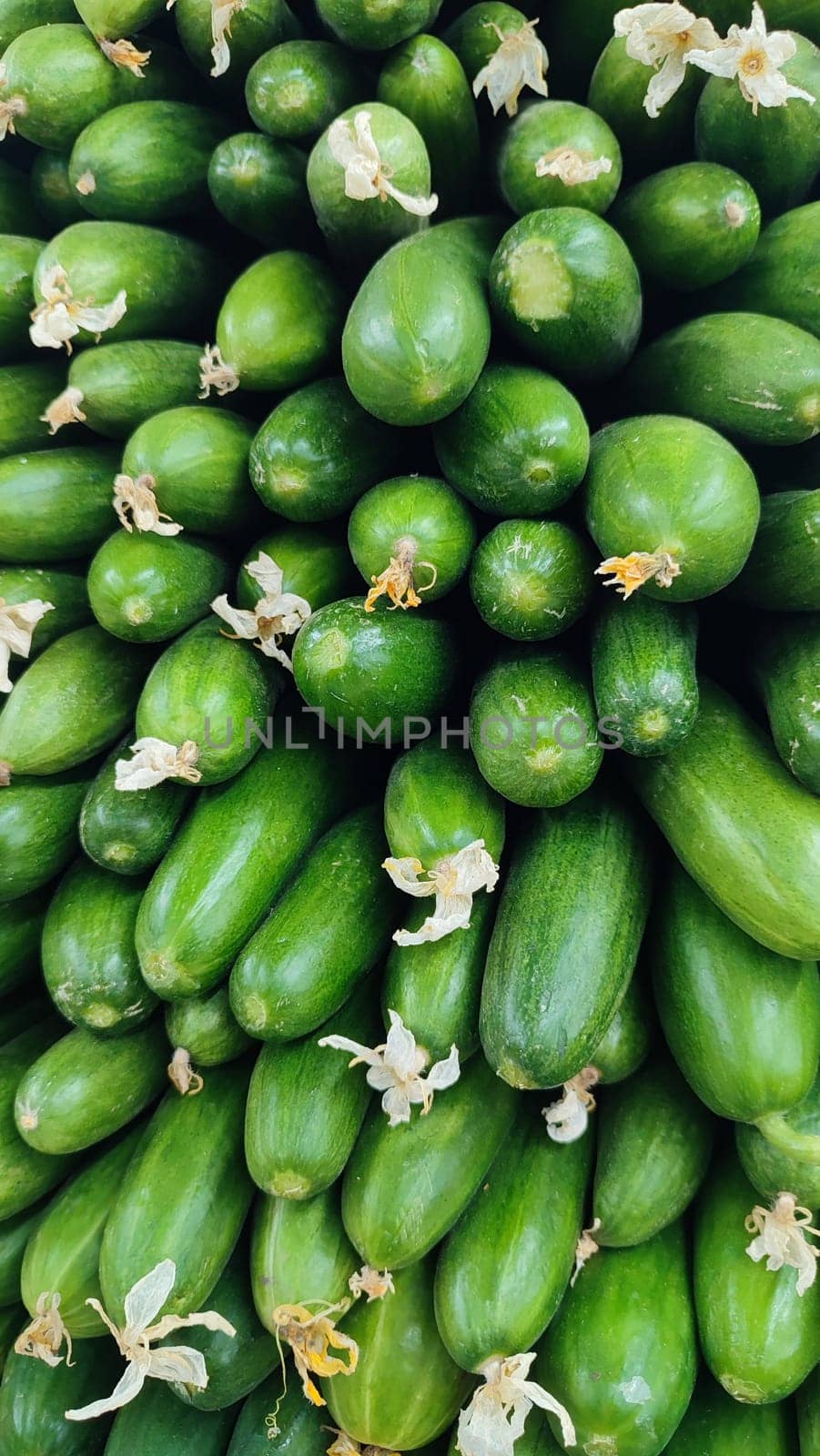 green cucumbers fresh vegetables lie in the grocery store, fresh food, vegetarianism. High quality photo