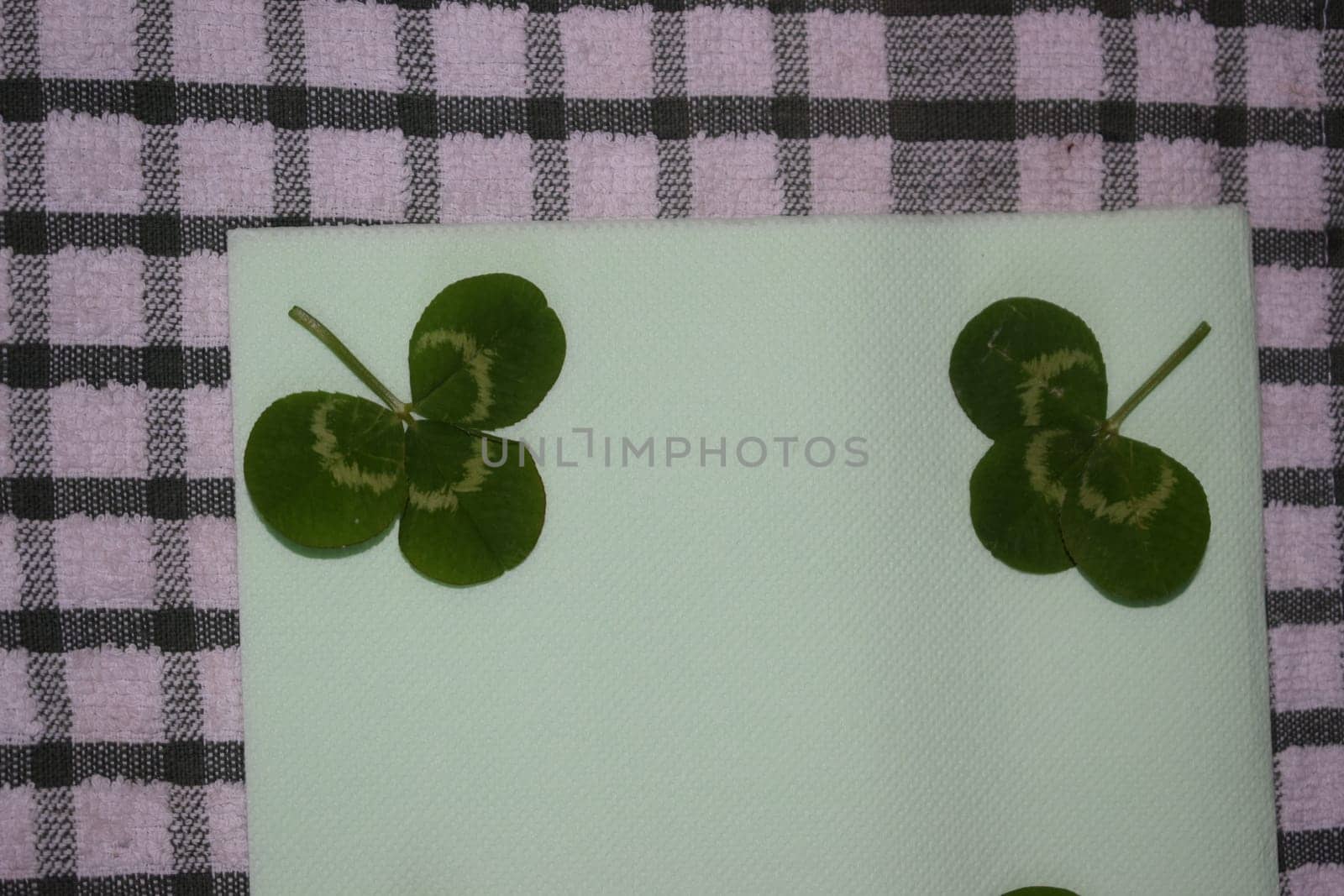 sprig of green clover leaves on a light green background, Patrick day. High quality photo