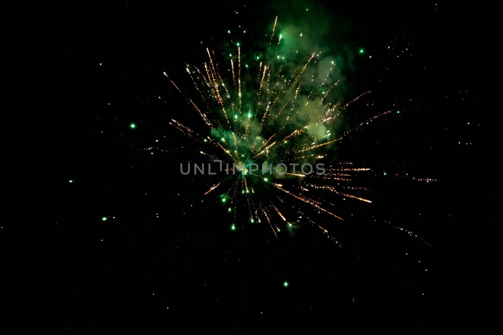 Colorful fireworks in the night sky. by leonik