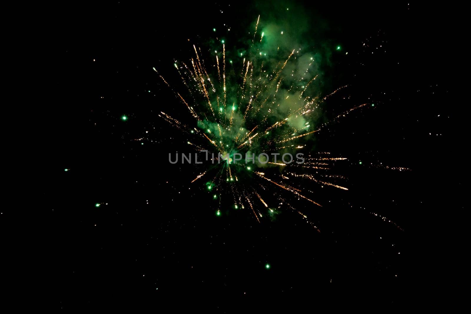 Colorful fireworks in the night sky.