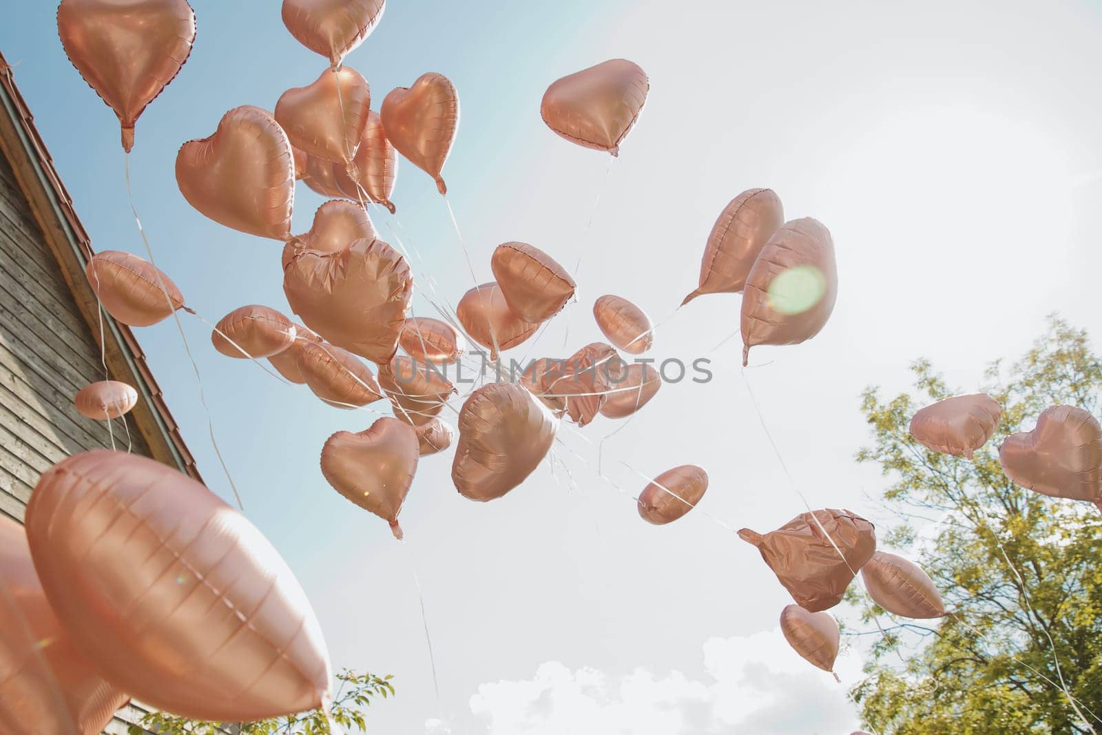 Heart-shaped balloons take off into the sky. Soft focus. by leonik