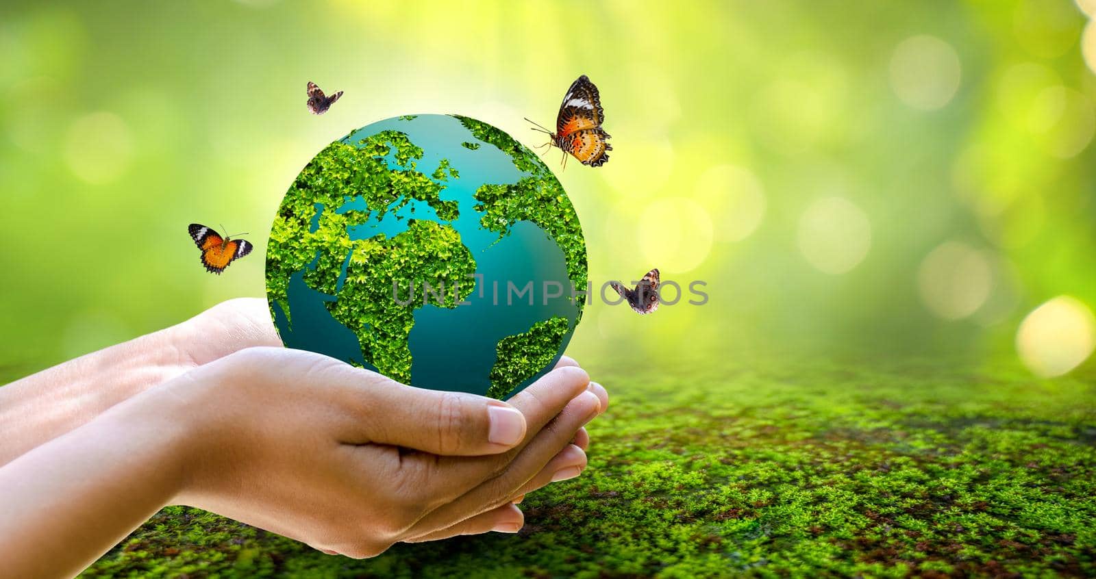 Concept Save the world save environment The world is in the grass of the green bokeh background by sarayut_thaneerat