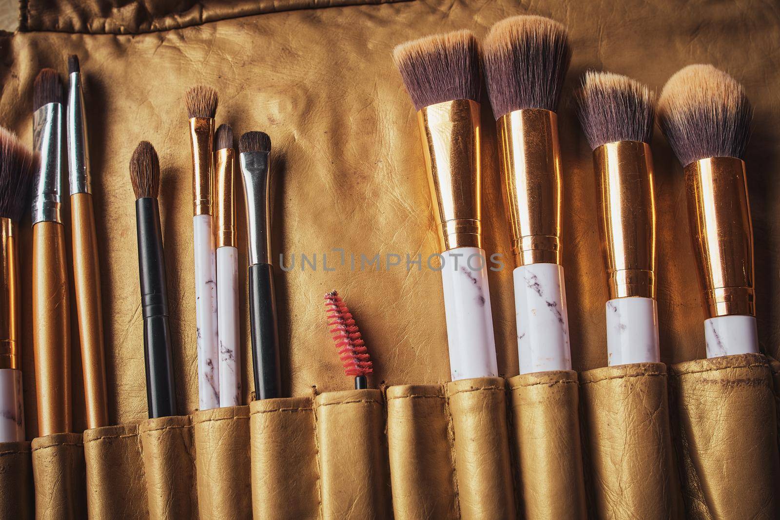 Makeup brushes set in case. Many different makeup brushes.