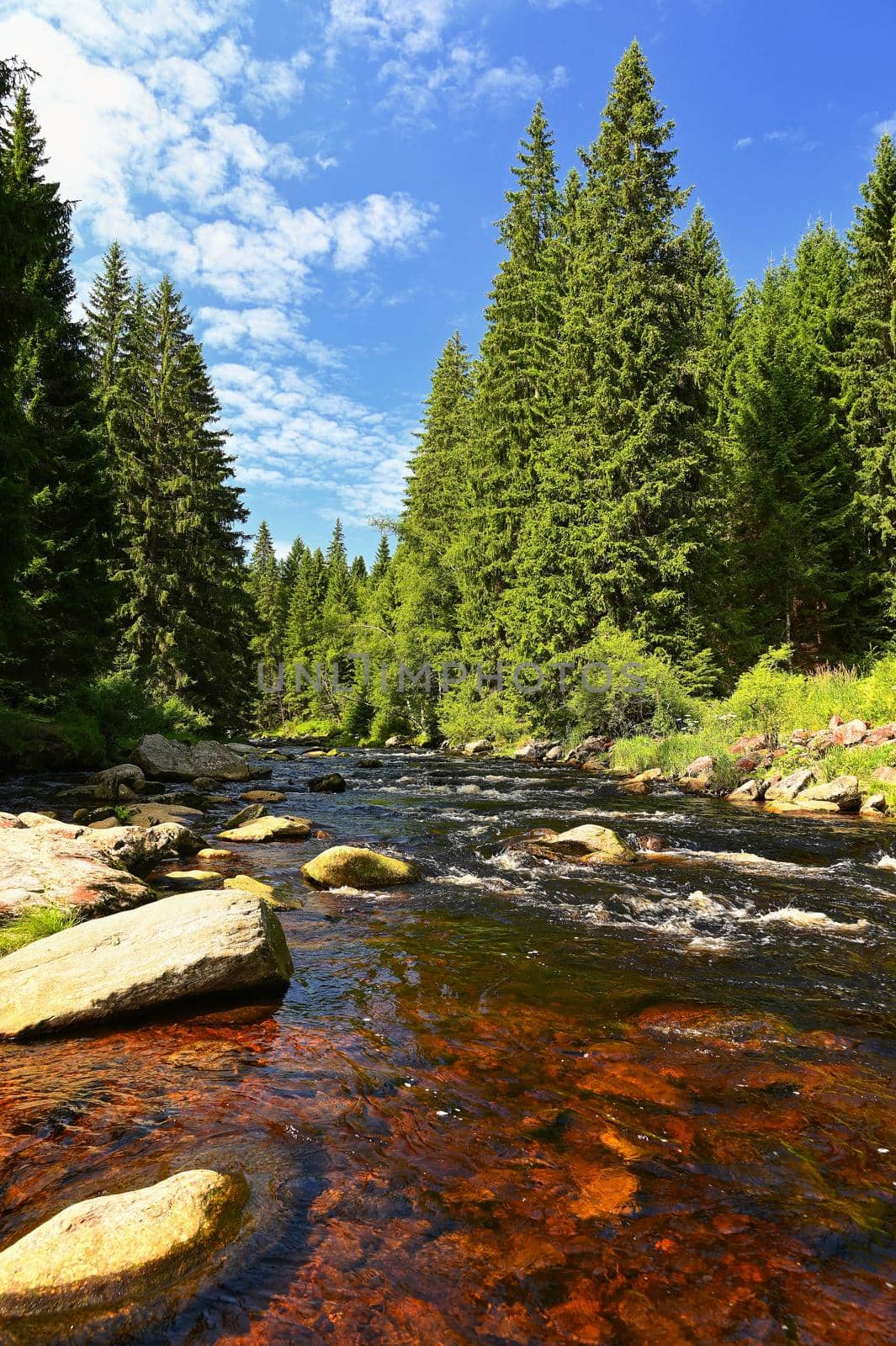 Beautiful river with stones and trees in the mountains with forest. Nature - landscape. Background with blue sky and sun - Vydra river in Sumava, Czech Republic. by Montypeter