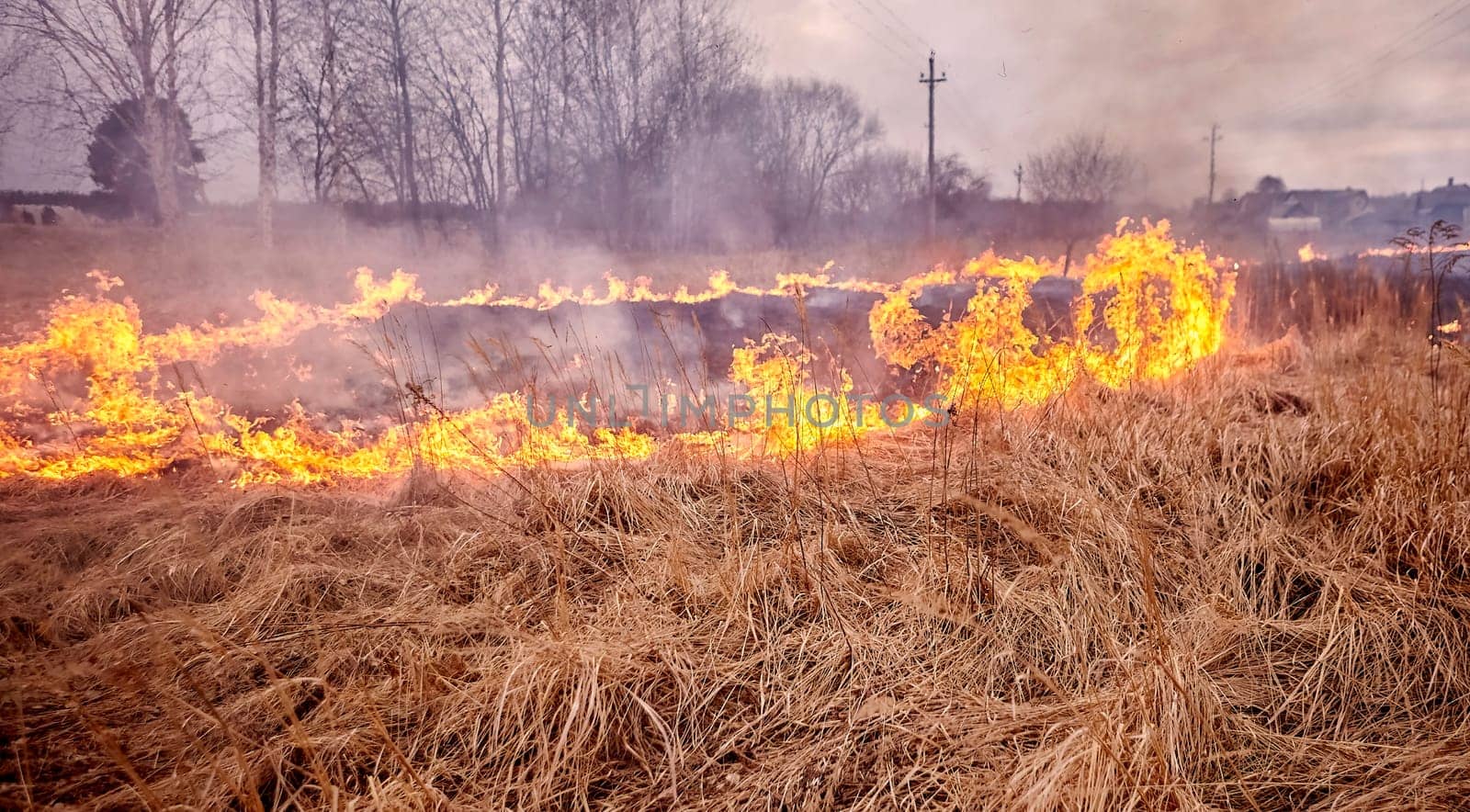 Burning old dry grass in garden. Flaming dry grass on a field. Forest fire. Stubble field is burned by farmer. Fire in the Field.