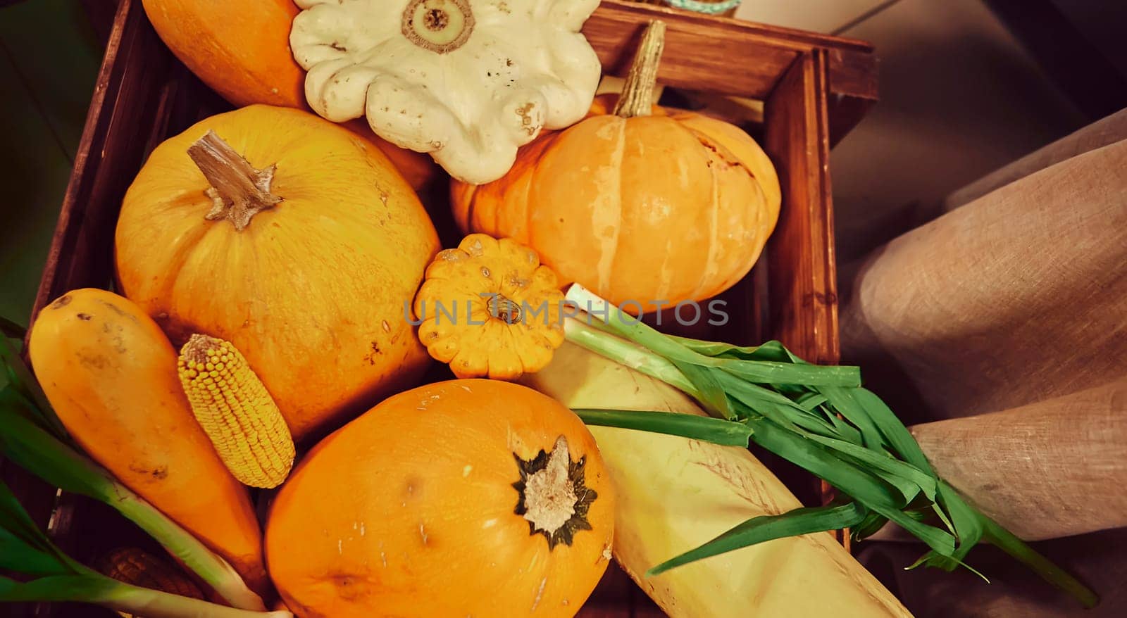 Autumn harvest, pumpkins, zucchini and green onions. Vegetables are in a wooden box.