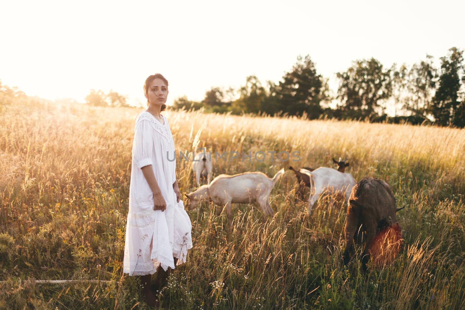 Young woman in white dress is walking with goats on the meadow at sunset. Attractive female farmer feeding her goats on her small business organic farm.