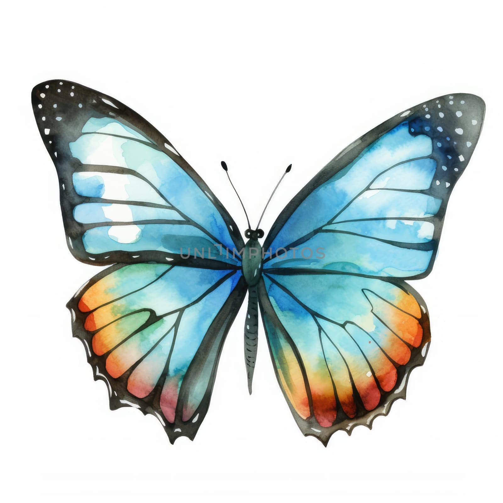 blue butterfly isolated on white, AI Generated. High quality illustration