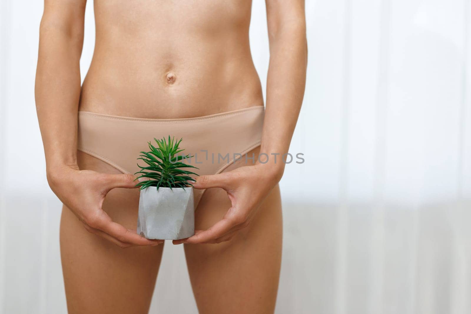 Depilation And Health Care In Underwear With Cactus In Hand. Woman with cactus showing smooth skin on background, closeup. Brazilian bikini epilation