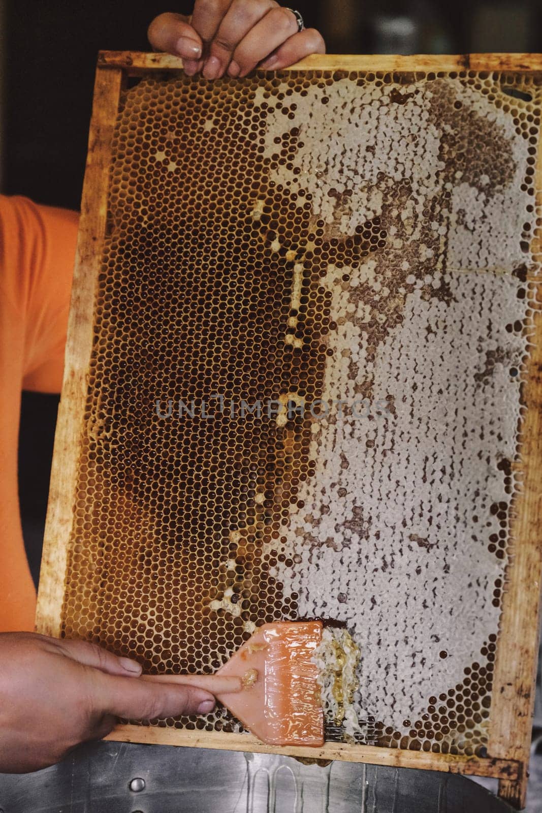 Thick Honey Dripping Down Honeycomb. Man hand gather fresh honey with a scapula. Gold Honey in honeycomb. Healthy food concept. eco natural food. bee honey. by igor010