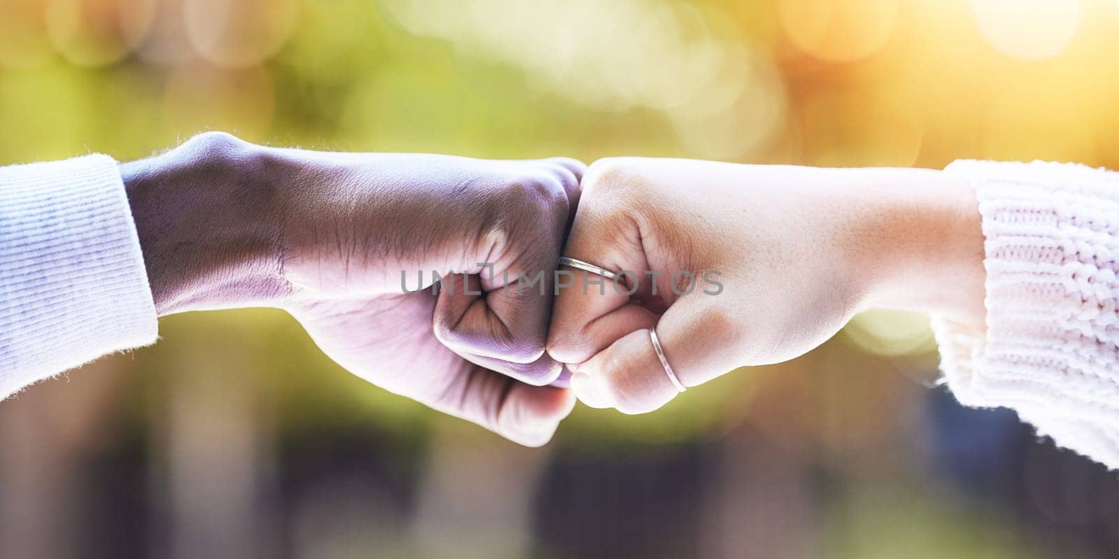 Fist bump, diversity and hands of people in park for support, agreement and collaboration in nature. Friends, greeting and closeup of hand gesture for friendship, community and solidarity outdoors.