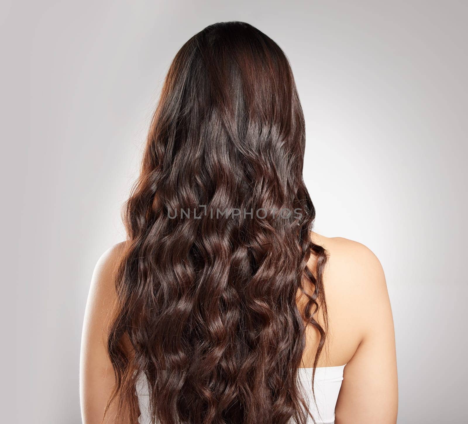 Hair, beauty with balayage and woman has curly hairstyle with haircare, keratin treatment and back view. Female person with color shine, texture with growth and grooming isolated on studio background.