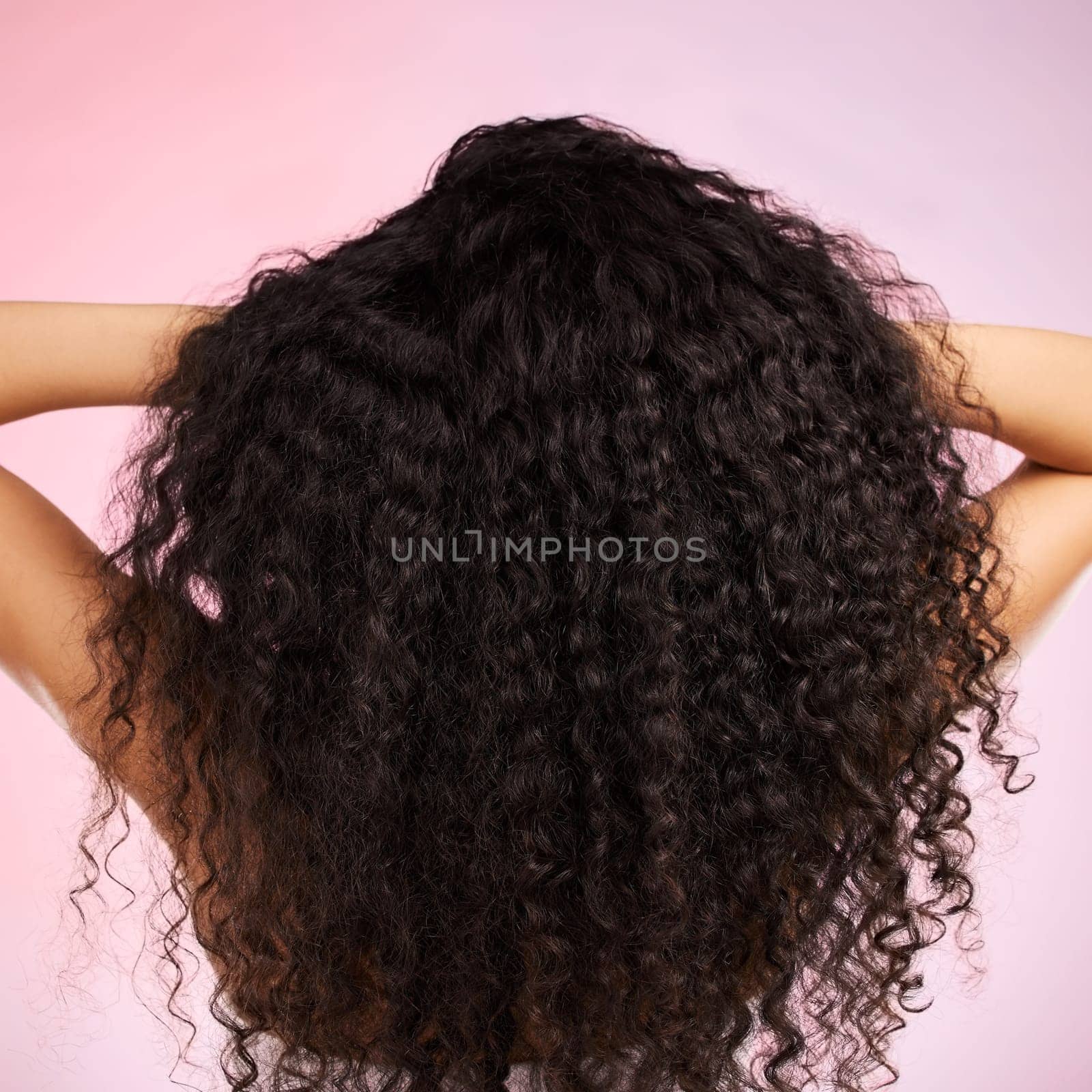 Hair, beauty and back of person with hairstyle transformation and curly texture. Model, salon treatment and haircut shine in a studio with pink background and cosmetics with keratin and growth care by YuriArcurs