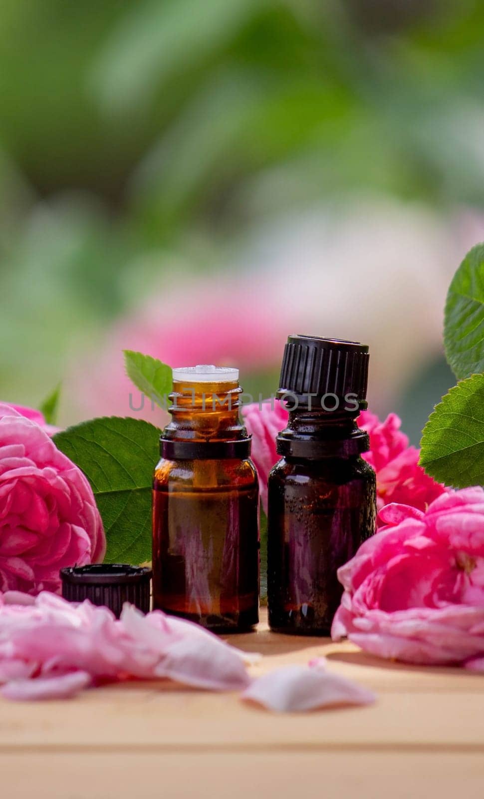 rose flower and essential oil. Spa and aromatherapy. Selective focus
