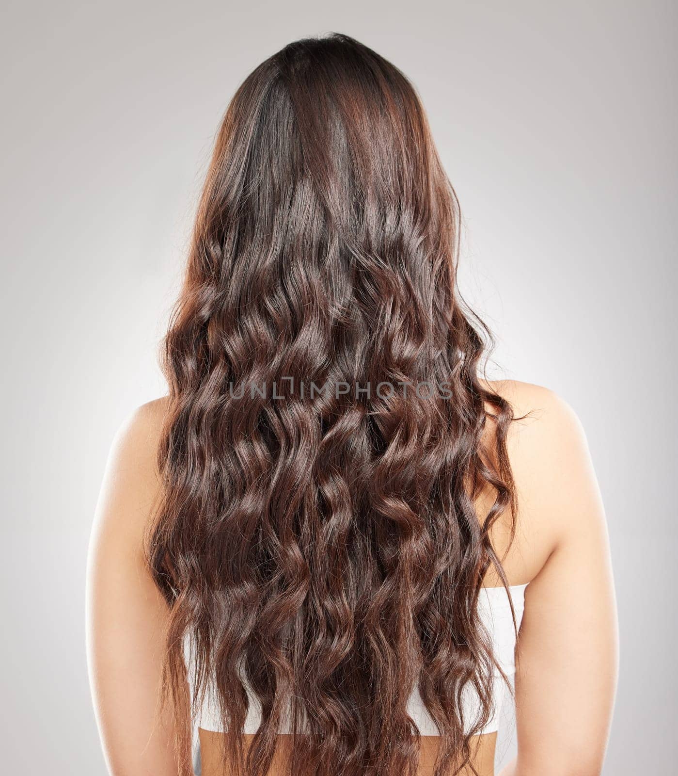 Hair, beauty with balayage and woman hairstyle with haircare, keratin treatment and back view. Female person with color shine, texture with growth and grooming curls isolated on studio background.