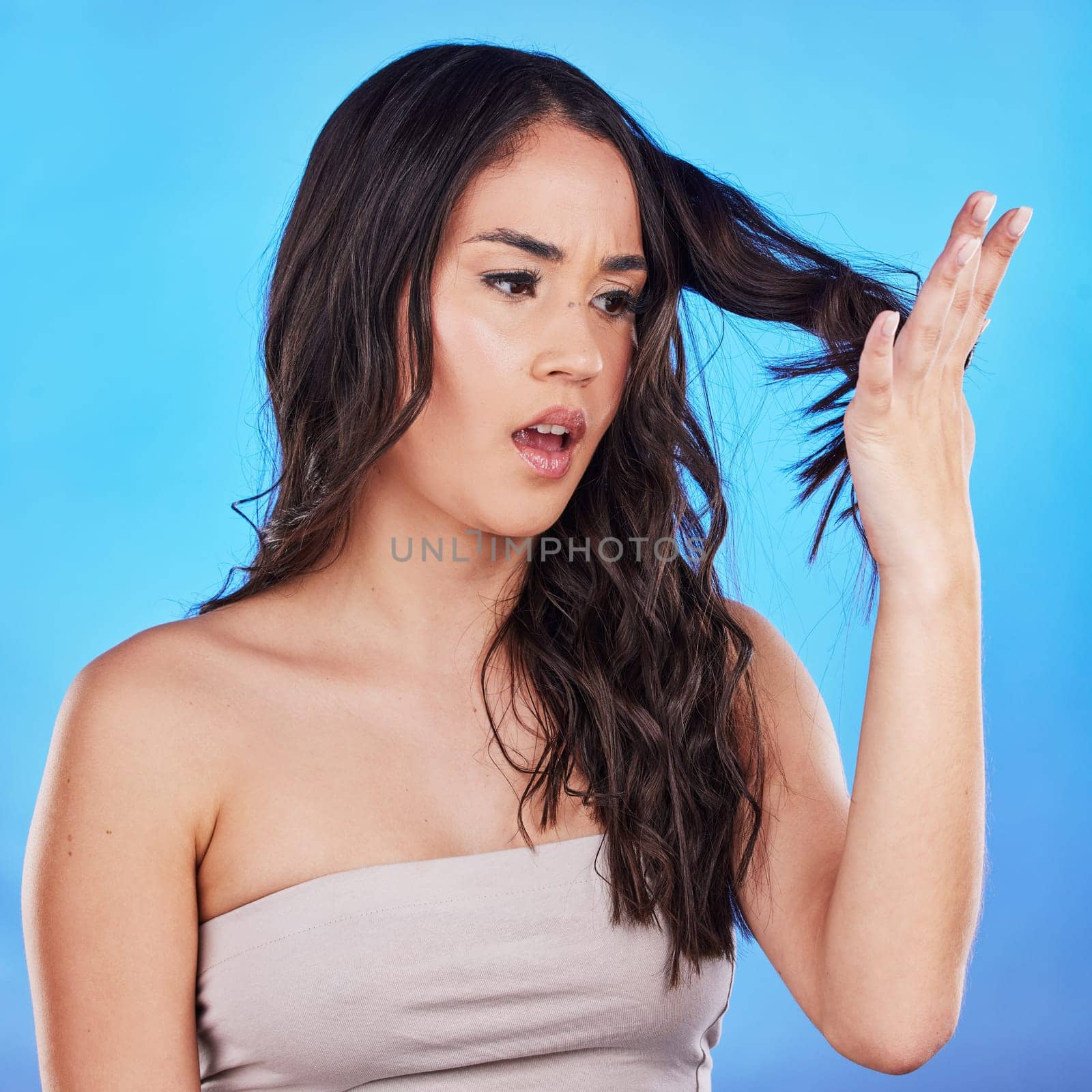 Hair, problem and woman with worry or damage in blue studio background with mistake or spilt ends. Haircare, cosmetics and girl with keratin treatment for dry texture or fail with growth for repair. by YuriArcurs