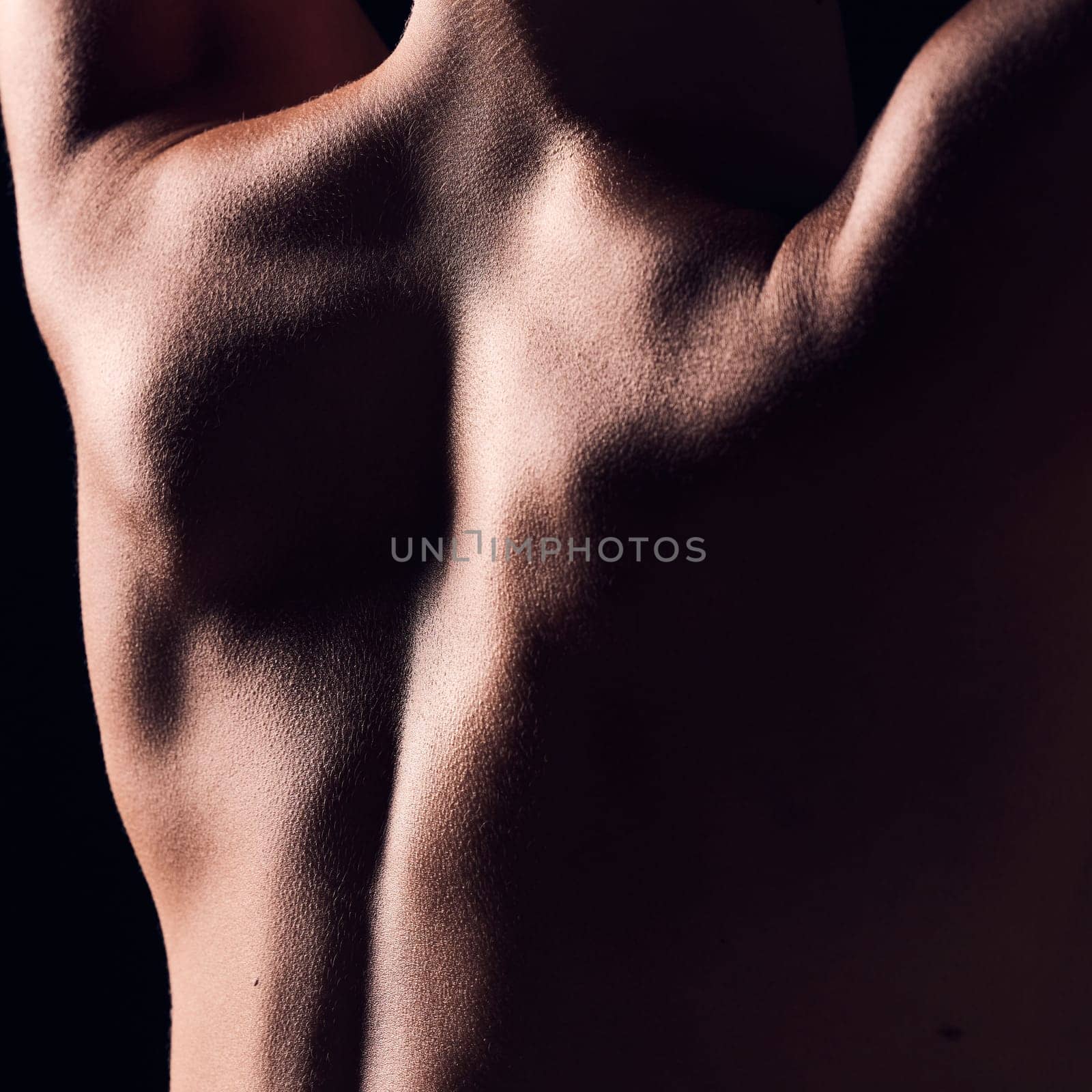 Back, dark and body of person with natural skincare texture isolated in a studio background for health or wellness. Strong, self care and creative skin for beauty or macro art deco of muscle.
