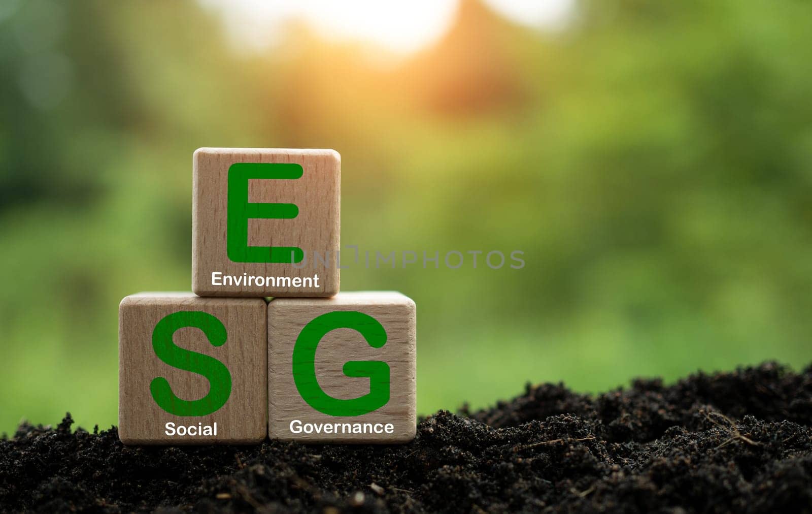 ESG concept for environment, society and governance in sustainable. business responsible environmental. by Unimages2527