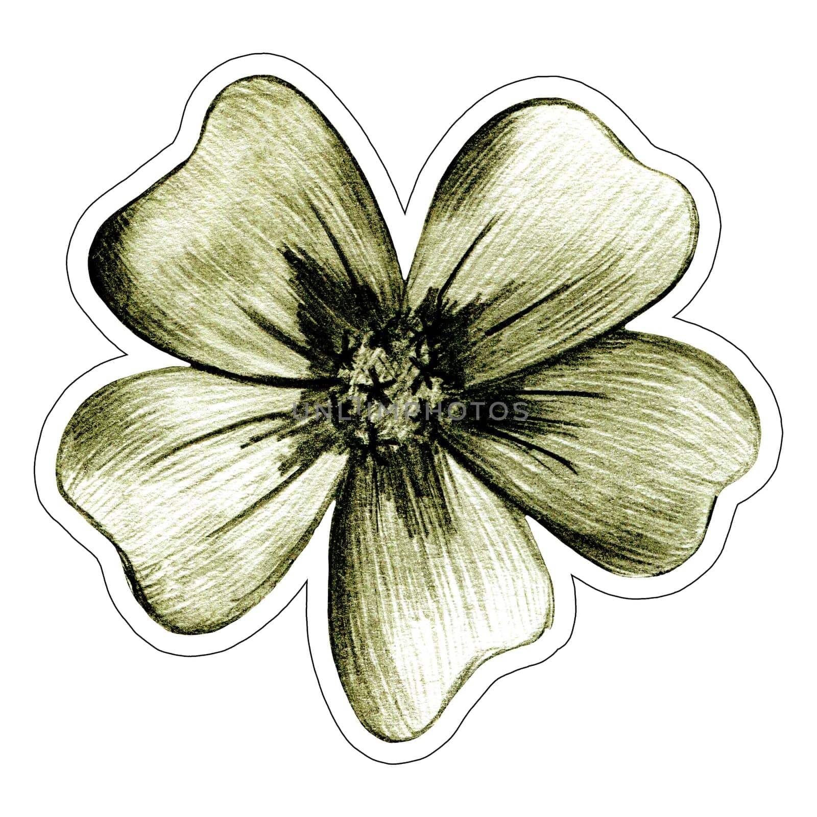 Marigold Flower Sticker Illustration. Hand Drawn Colorful Floral Sticker. by Rina_Dozornaya