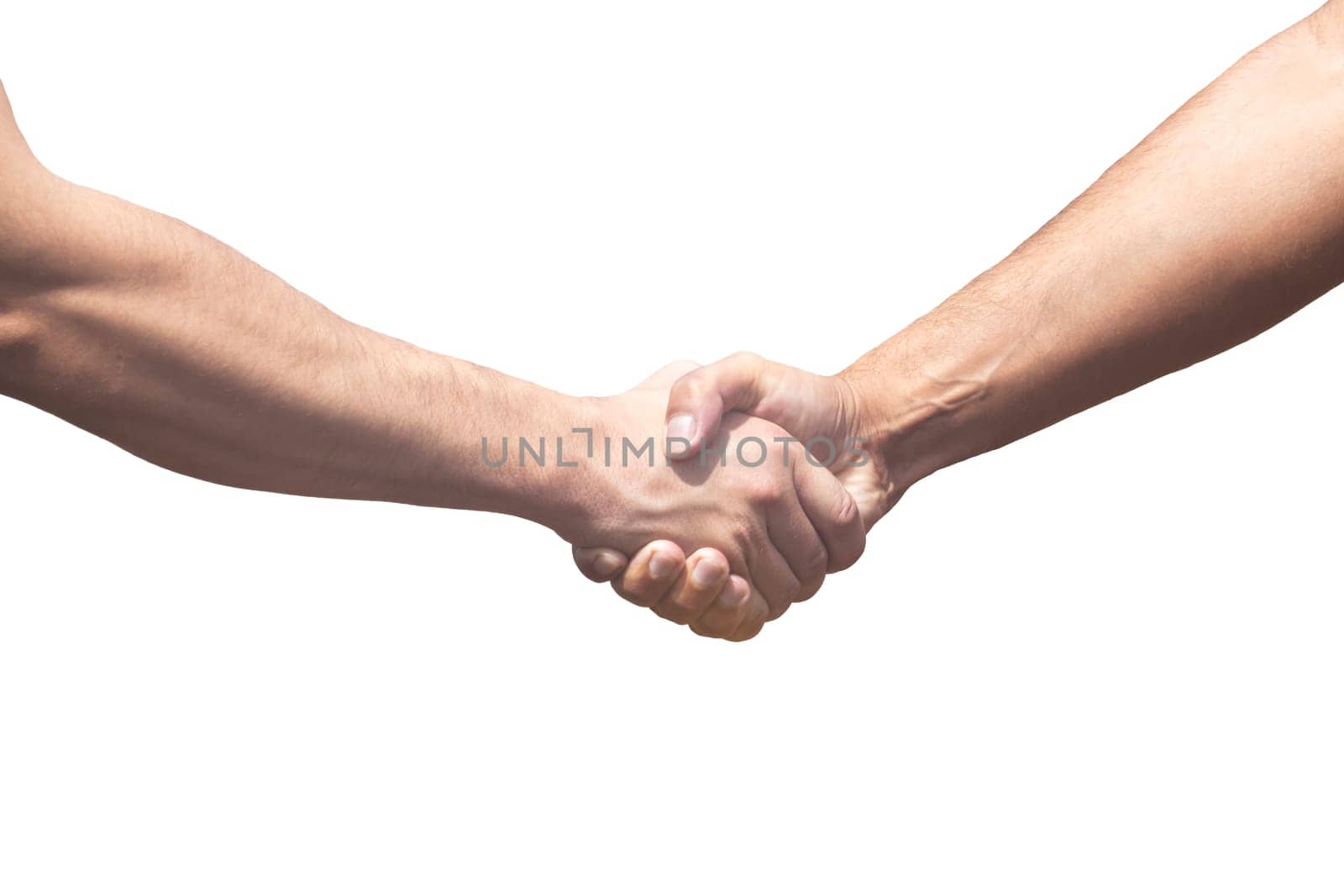 agreement, a handshake of men, a grain deal,peace, treaty