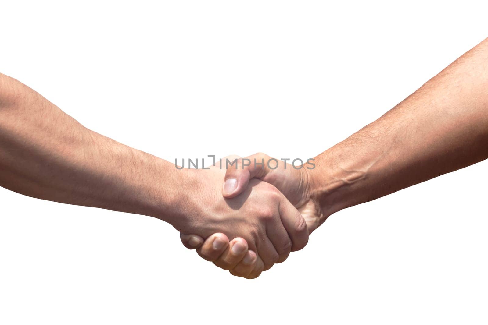handshake of men, grain deal, agreements, truce, peace, treaty
