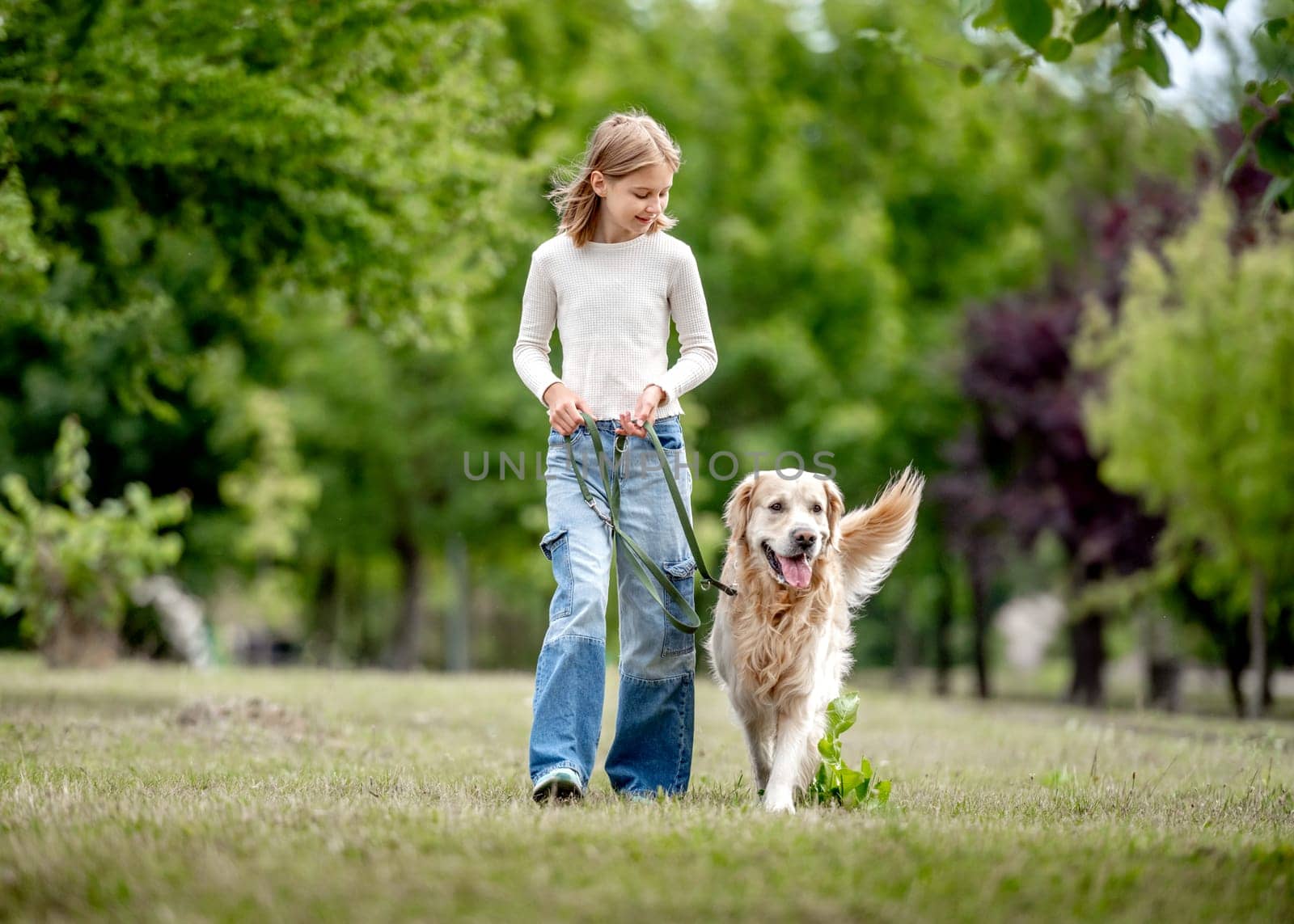 Preteen girl with golden retriever dog walking at nature. Cute child kid with purebred pet doggy labrador in park at summer